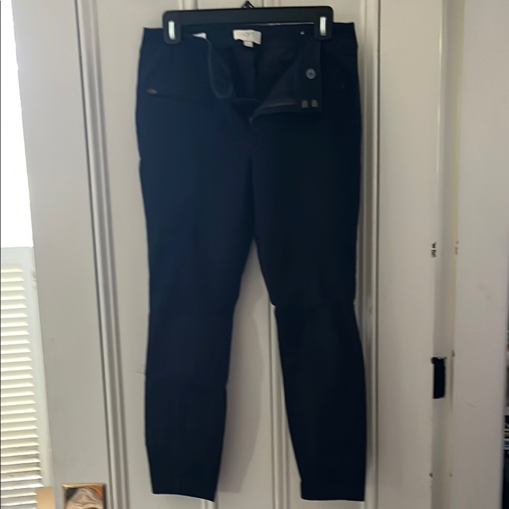 LOFT Navy Blue Skinny Ankle Length Pants Size 6P